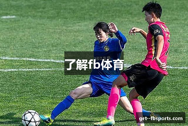 了解fb体育